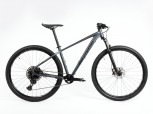 Lee Cougan Rebel SRAM SX Eagle 19"/Medium anthrazit Allround Hardtail